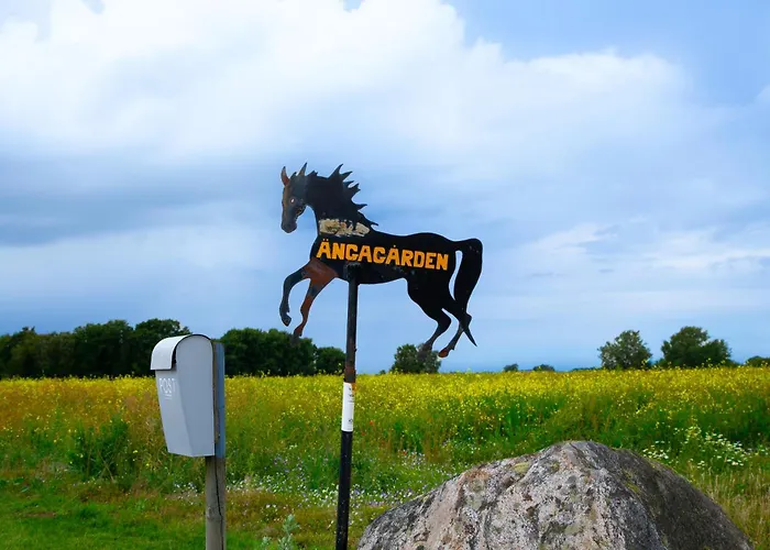 Aengagarden - Gardslyckan